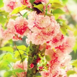 Meet your Posher, Randy